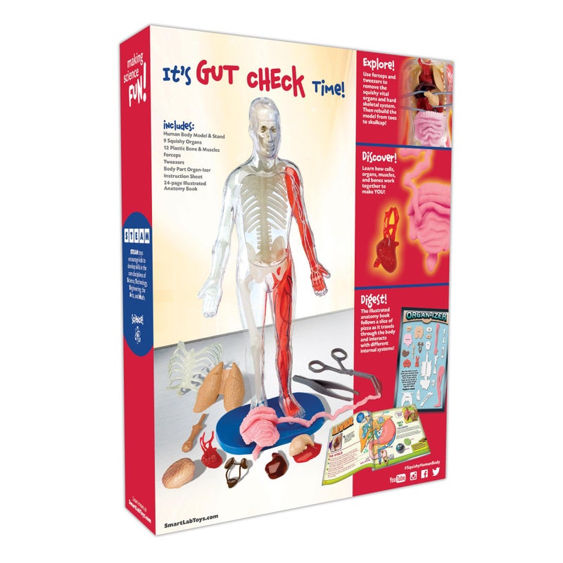 SmartLab مختبر سمارت لاب QPG للأطفال، جسم إنساني قابل للضغط، الصف 3-8 - Image 3