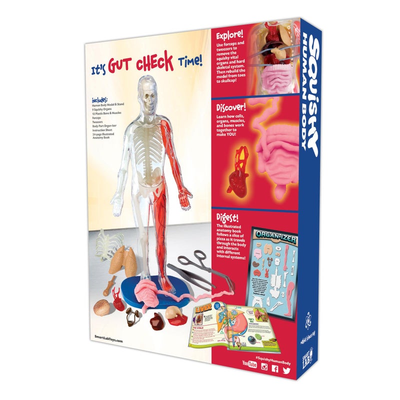 SmartLab مختبر سمارت لاب QPG للأطفال، جسم إنساني قابل للضغط، الصف 3-8 - Image 2