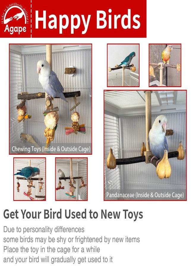Agape Rotating Parrot Perch Toy, Natural Wooden Stand for Small & Medium Birds, Bird Cage Accessory with Exercise Wheel for Parakeets, Cockatiels Lovebirds Conures Finches Budgies - Image 3