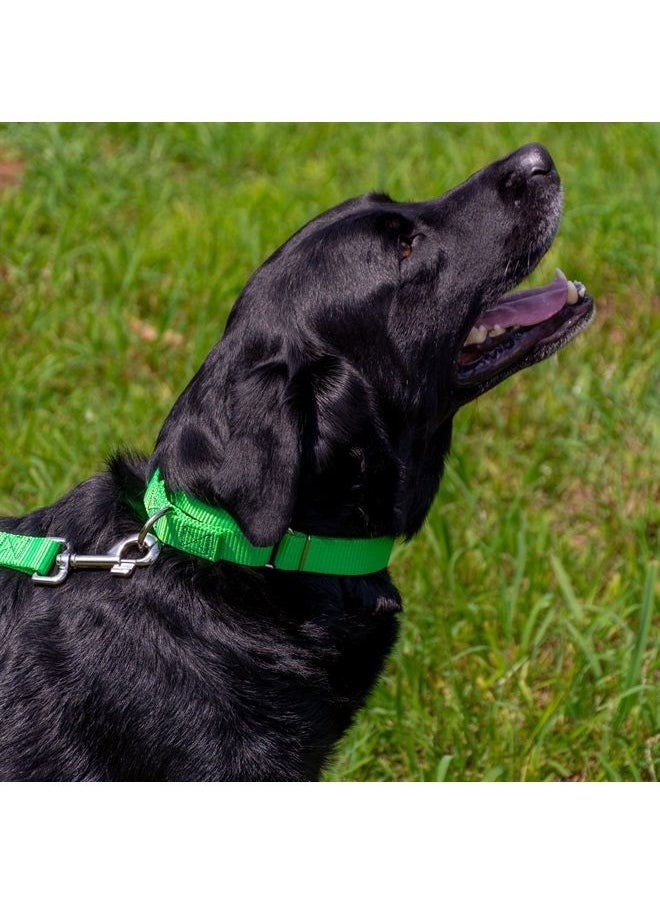 Country Brook Design Country Brook Petz - Hot Lime Green Martingale Heavy Duty Nylon Dog Collar - 21 Vibrant Color Options (1 Inch Width, Medium)  - Image 1