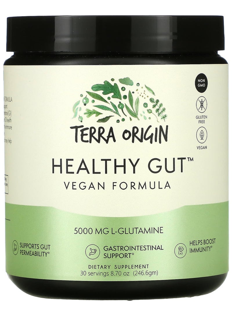 Terra Origin Healthy Gut, Vegan Formula, 8.7 oz (246.6 g)