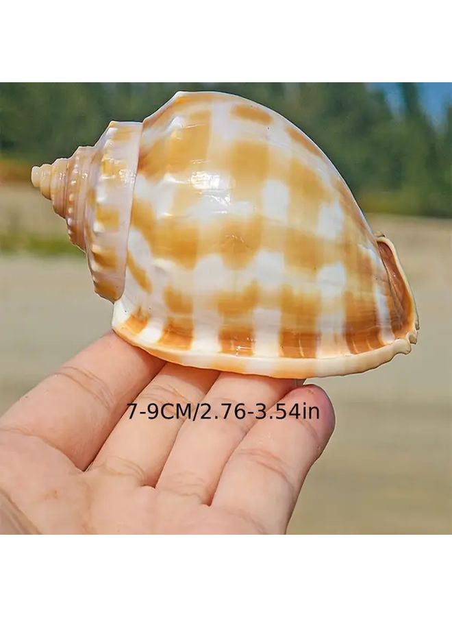 قطعتان من ديكور حوض السمك قوقعة الحلزون البطيخي لأسماك سرطان البحر، للمياه المالحة والعذبة - Image 3