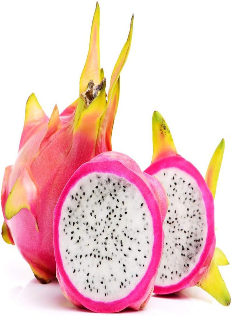 جي جوت 20 قطعة من بذور بيتايا فاكهة التنين للزراعة في المزرعة الخارجية وفناء العائلة وفاكهة الصبار دائمة الخضرة لتزيين الحديقة سهلة الإنبات ذات قدرة قوية على التكيف مناسبة للمبتدئين - Image 2