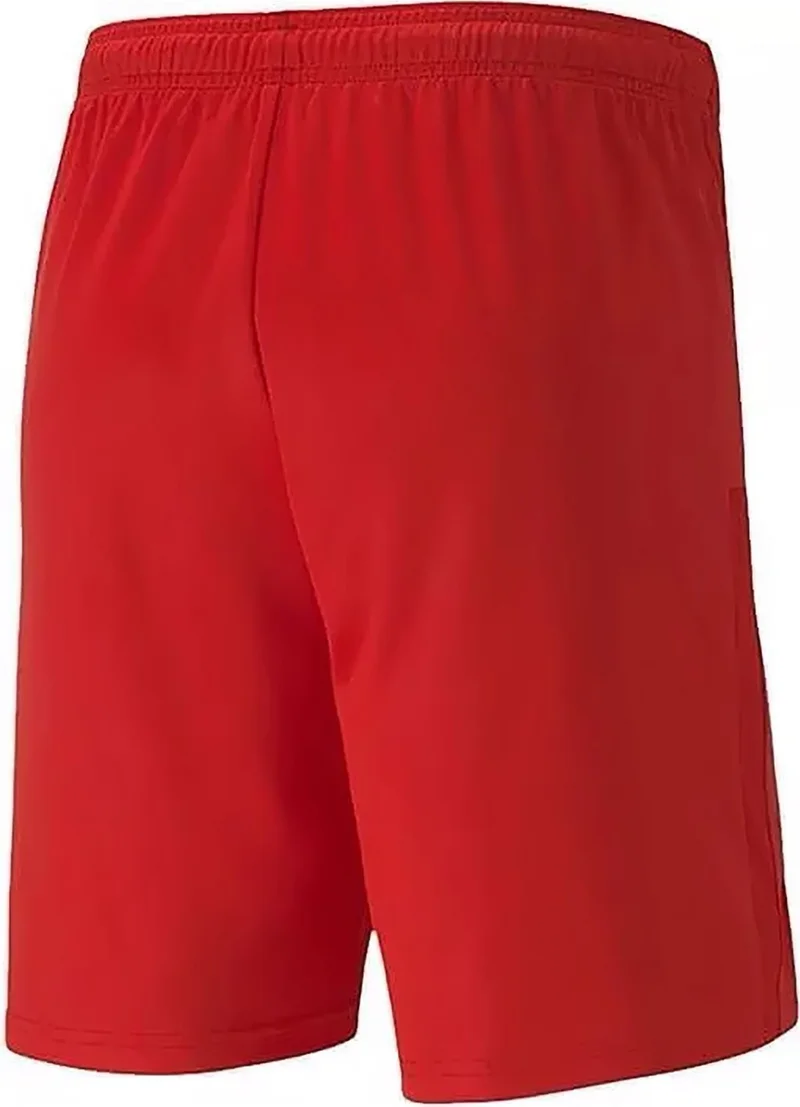 بوما Teamgoal 23 Knit Shorts Men's Football Match Shorts 70426201 Red