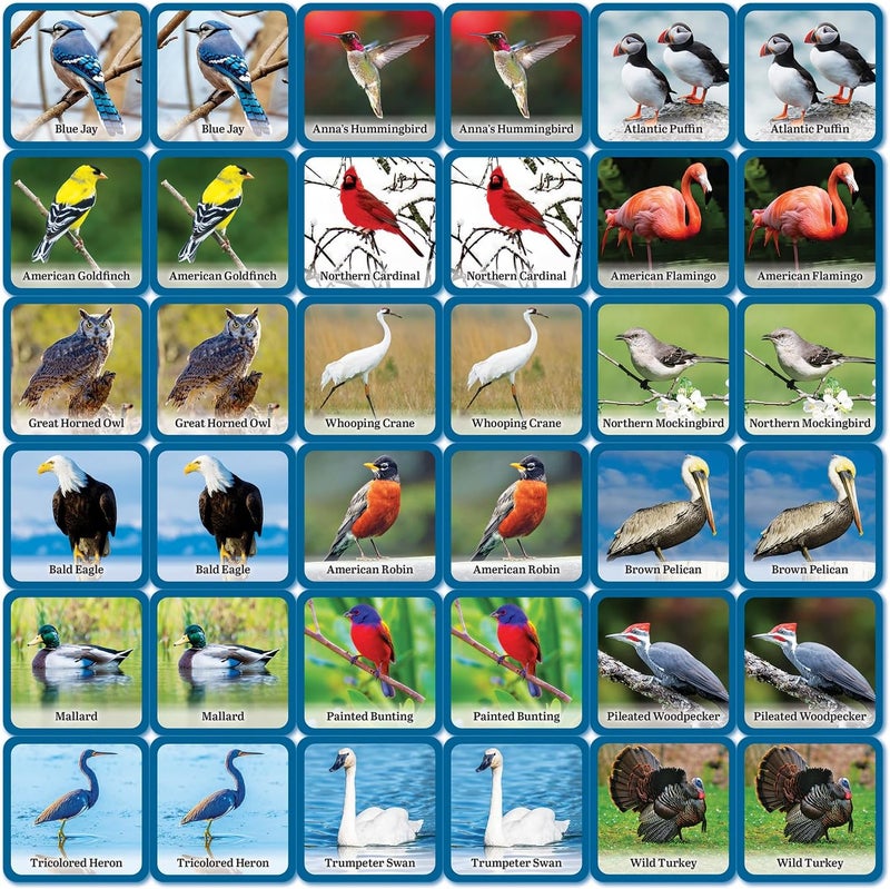 MasterPieces Officially Licensed Audubon Picture Matching Card Game for Kids and Families - Image 4
