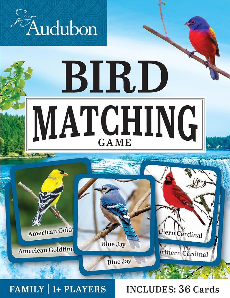MasterPieces Officially Licensed Audubon Picture Matching Card Game for Kids and Families - Image 1