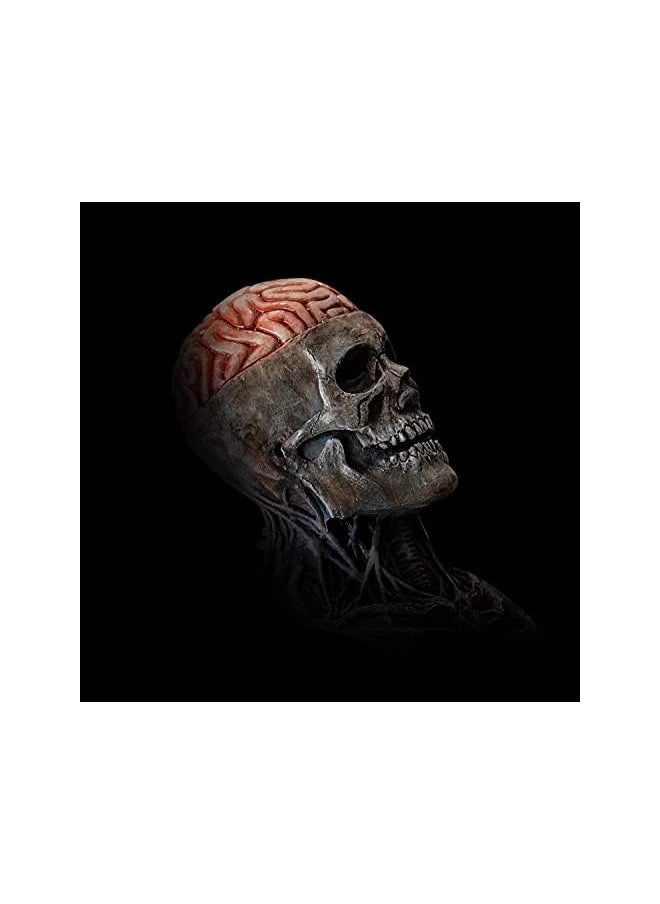 Full Head Skull Mask with Movable Jaw, Halloween Scary Mask, Head Realistic Latex Mask  - Image 3