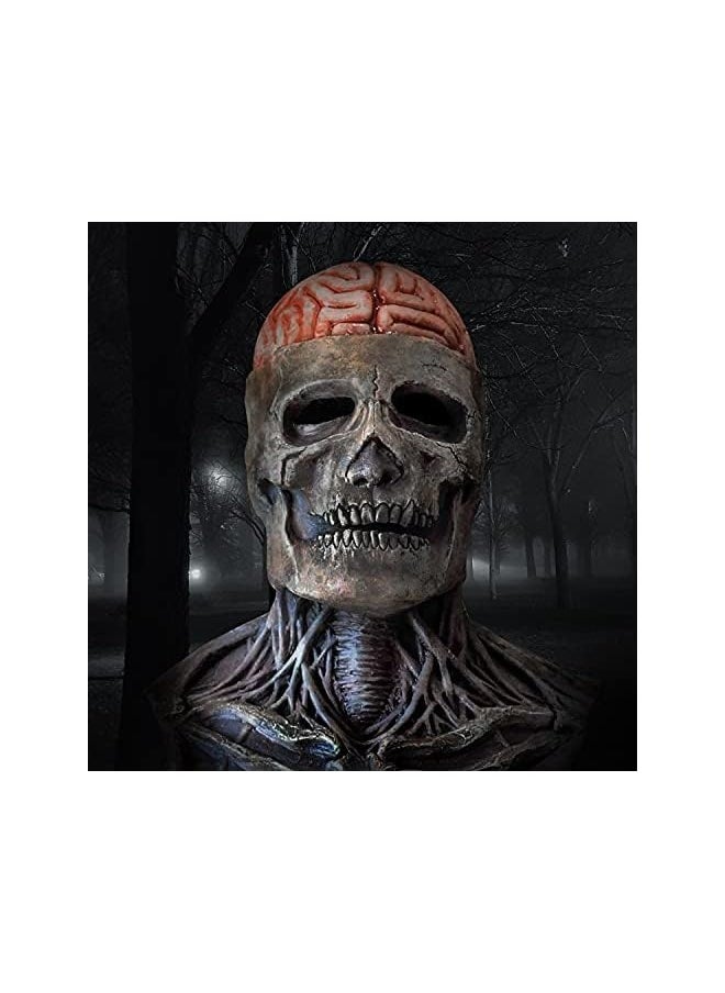 Full Head Skull Mask with Movable Jaw, Halloween Scary Mask, Head Realistic Latex Mask  - Image 1