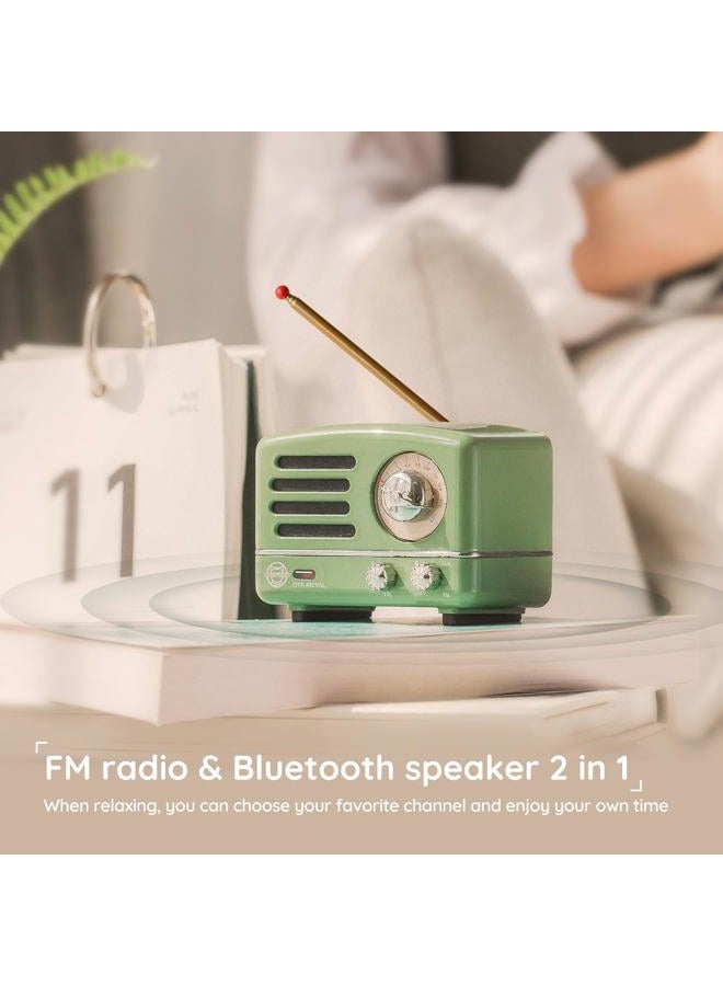 Muzen Portable Bluetooth Speaker, OTR Metal Retro Small Wireless Speaker, FM Radio with Antenna AUX, 10h+ Long Playtime, High Fidelity Stereo Audio with Suitcase, Room Office Decor, Festival Gift - Image 3