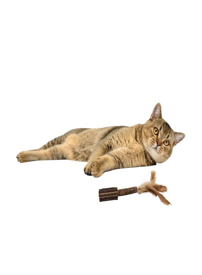 SPOT Naturals Silver Vine Medium Cat Toy - All Natural Catnip Alternative, Safe, Non-Toxic Play Stick with Feathers, Entertaining for Cats of All Ages - Assorted Styles - Image 2