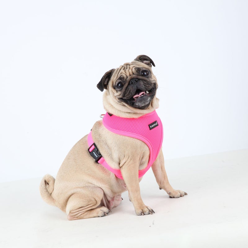 Puppia Neon Dog Harness Over-The-Head No Choke No Pull Walking Training for Small and Medium Dog, Pink, Small - Image 2