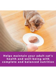 Iams Iams Perfect Portions Sensitive Digestion & Skin Adult Wet Cat Food Paté, Turkey Recipe, 2.6 oz. Easy Peel Twin-Pack Trays (24 Count, 48 Servings)  - Image 5