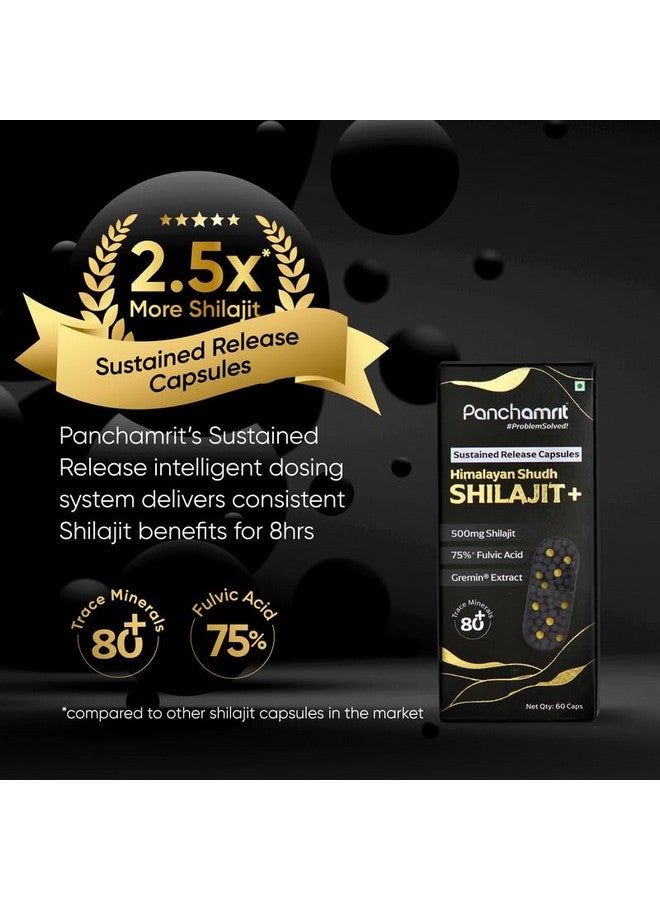 Panchamrit كبسولات بانشامريت هيمالايا شيلجيت للإفراج المستمر 500 ملغ مع جرمين®، 75% حمض فلفيك، 2.5x أكثر شيلجيت، 80+ معادن نادرة | شيلجيت للرجال | يعزز الطاقة، التحمل، التستوستيرون | 60 كبسولة - Image 2