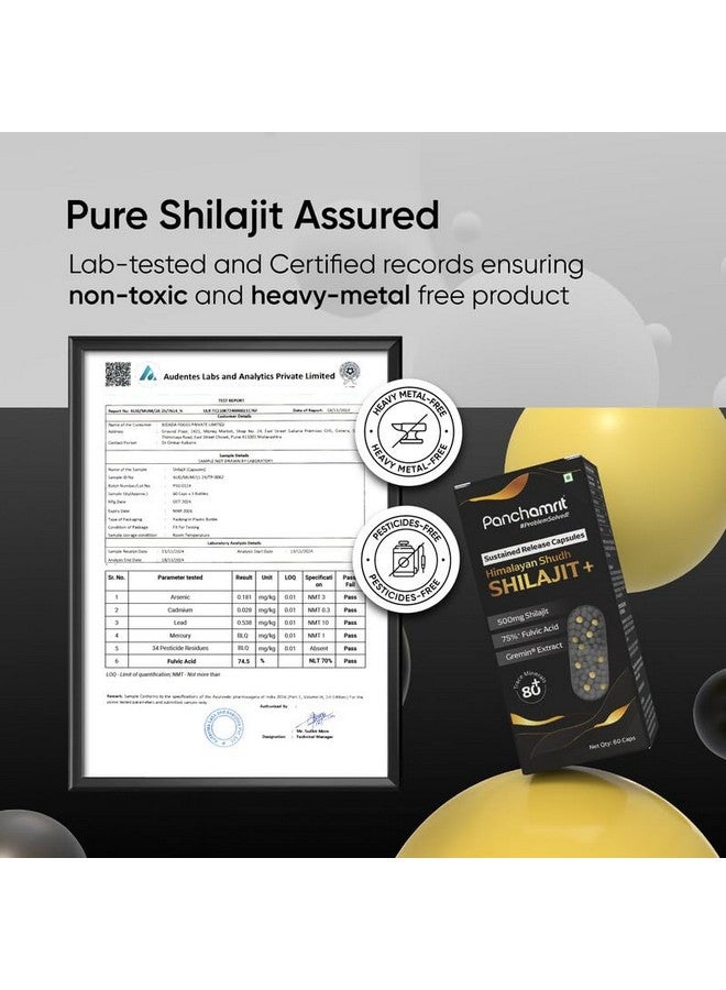Panchamrit كبسولات بانشامريت هيمالايا شيلجيت للإفراج المستمر 500 ملغ مع جرمين®، 75% حمض فلفيك، 2.5x أكثر شيلجيت، 80+ معادن نادرة | شيلجيت للرجال | يعزز الطاقة، التحمل، التستوستيرون | 60 كبسولة - Image 5