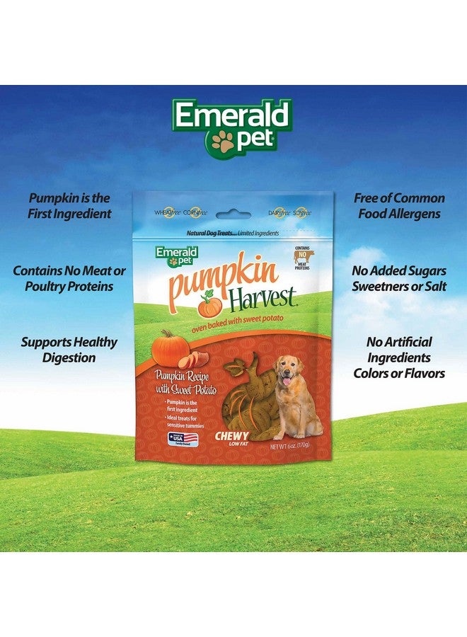 إميرالد بيت مكافآت الكلاب من إيميرالد بت بنكهة اليقطين - مكافآت طبيعية قابلة للمضغ قليلة الدسم مع اليقطين لصحة الجهاز الهضمي - خالية من اللحوم والدواجن والقمح - بطاطا حلوة، 6 أونصة - Image 3