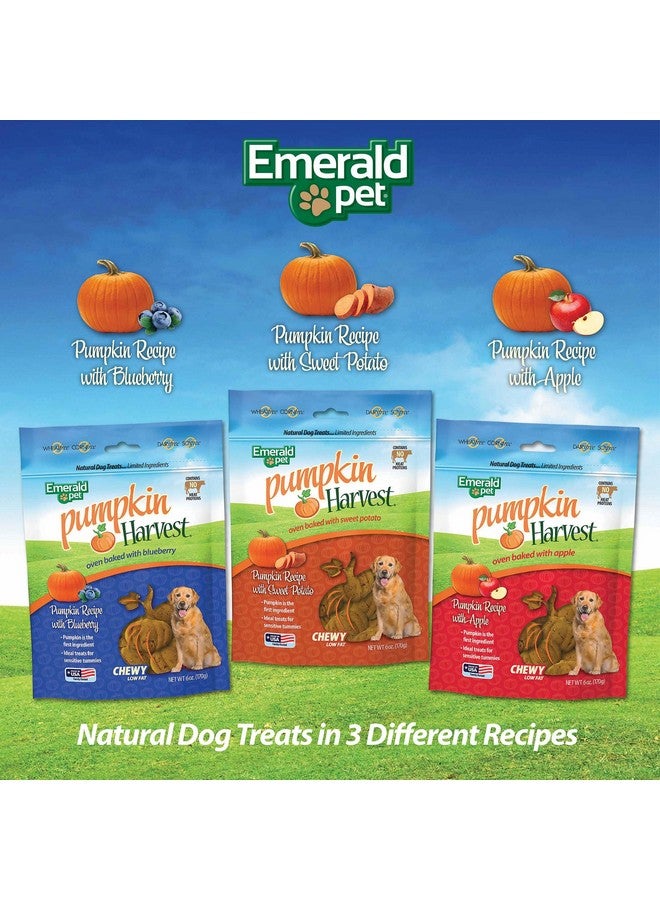 إميرالد بيت مكافآت الكلاب من إيميرالد بت بنكهة اليقطين - مكافآت طبيعية قابلة للمضغ قليلة الدسم مع اليقطين لصحة الجهاز الهضمي - خالية من اللحوم والدواجن والقمح - بطاطا حلوة، 6 أونصة - Image 5