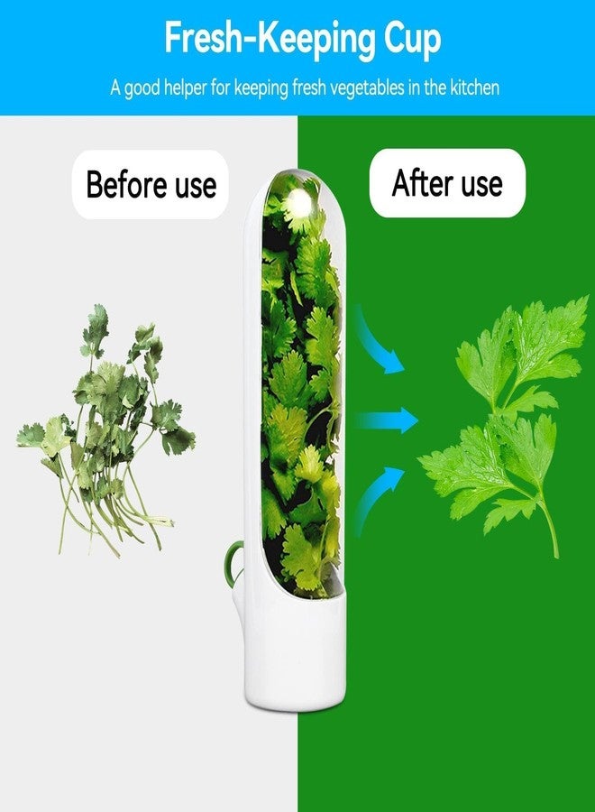 Beufee Fresh Herb Keeper for Refrigerator , 2PCS Cilantro Fresh Container Herb Savor Pod Herb Keeper and Herb Saver Fruit Containers Transparent Vegetable Preservation Bottle Kitchen Storage Cup for Cilantr - Image 4