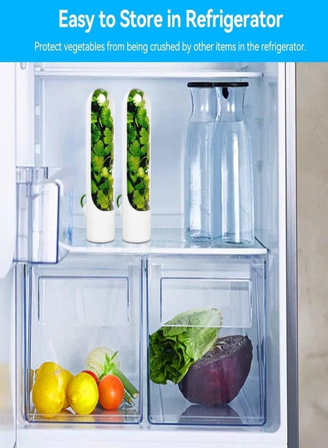 Beufee Fresh Herb Keeper for Refrigerator , 2PCS Cilantro Fresh Container Herb Savor Pod Herb Keeper and Herb Saver Fruit Containers Transparent Vegetable Preservation Bottle Kitchen Storage Cup for Cilantr - Image 2