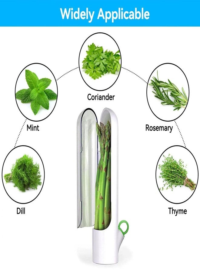 Beufee Fresh Herb Keeper for Refrigerator , 2PCS Cilantro Fresh Container Herb Savor Pod Herb Keeper and Herb Saver Fruit Containers Transparent Vegetable Preservation Bottle Kitchen Storage Cup for Cilantr - Image 5