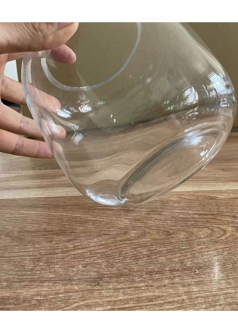 Aquarium Terrarium glass tank 16x18cm clear - Image 4