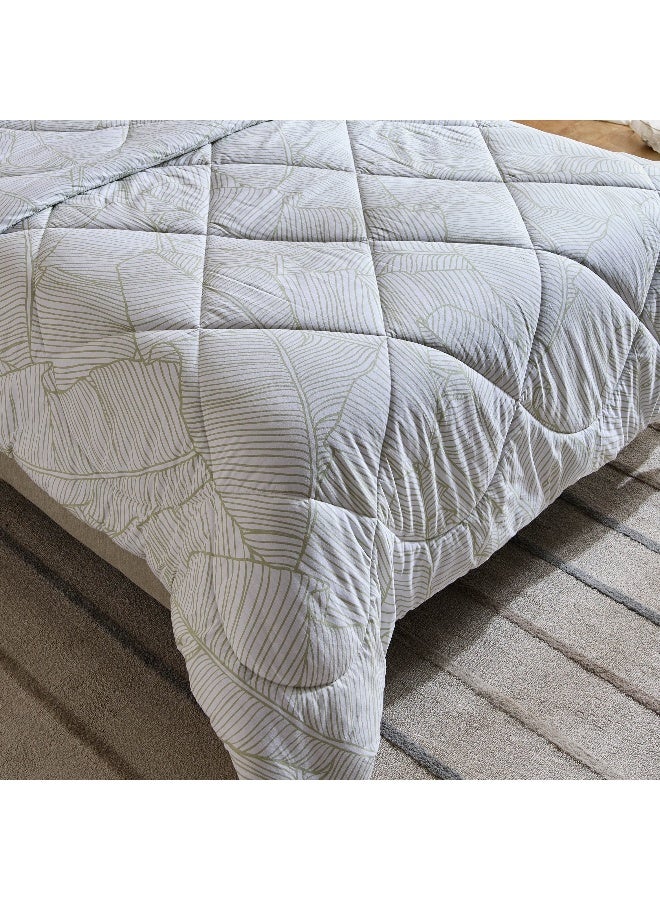 Home Box Malta-Musa 2-Piece Printed Cotton Twin Comforter Set - 160x220 cm  - Image 4