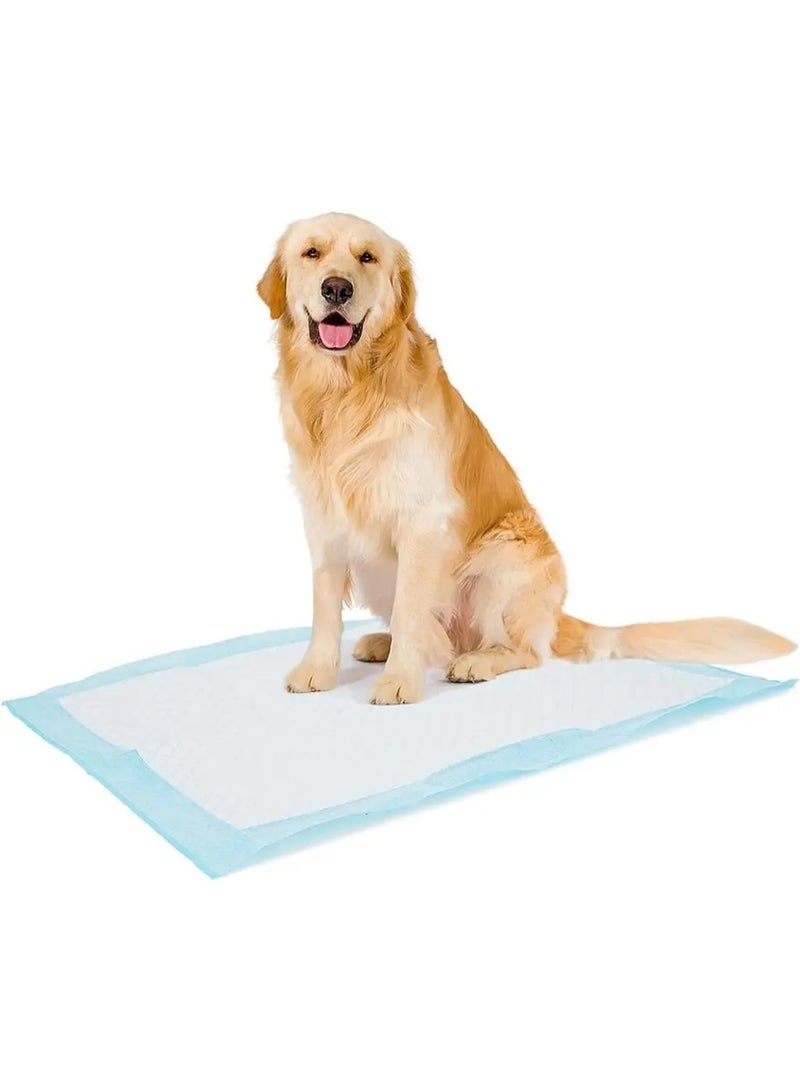 Duvo + Duvo+ Pet Pad Premium Month Pack XL-60x60cm 30pcs - Image 2