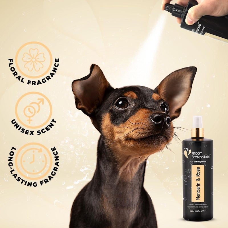 Groom Professional Exclusive Mandarin & Rose Pet Cologne - 500ml - Image 2