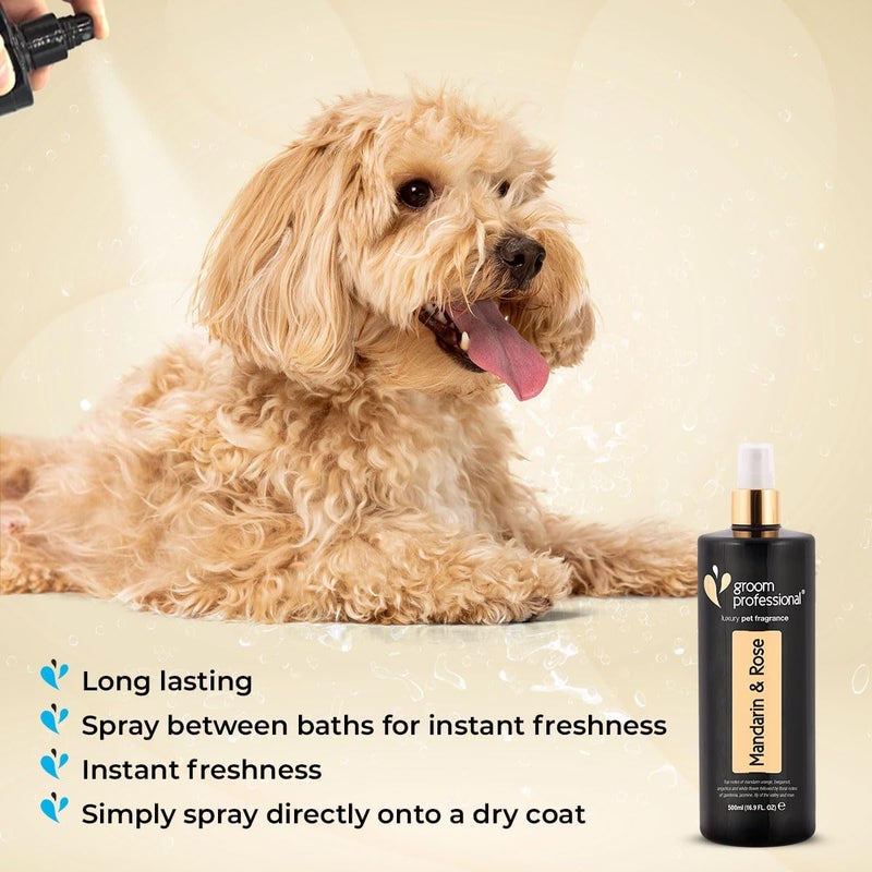 Groom Professional Exclusive Mandarin & Rose Pet Cologne - 500ml - Image 3