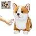 CU-MATE CUMATE Interactive Plush Corgi Dog Companion Robot Dog PetsHandmade Weighted Stuffed AnimalsElectronic Walking Toy with BarkingTail WaggingTalking - Image 2