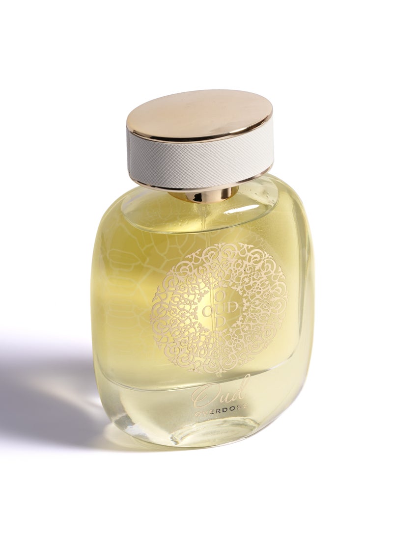عطور ايه ام دي عطر عود أوفر دوز من AMD Perfumes للرجال والنساء، 100 مل  - Image 2
