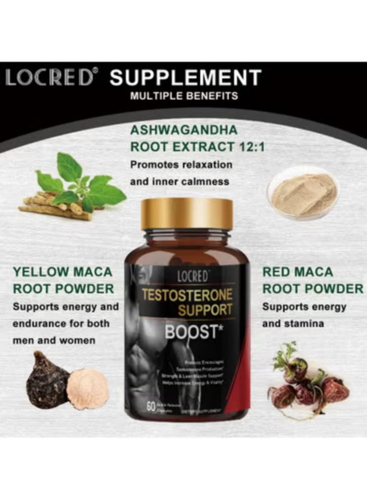 locred مكمل تعزيز التستوستيرون للرجال لزيادة الطاقة وزيادة القدرة على التحمل وتعزيز الحيوية والأداء مكملات التمارين اليومية للرجال 60 حبة - Image 3