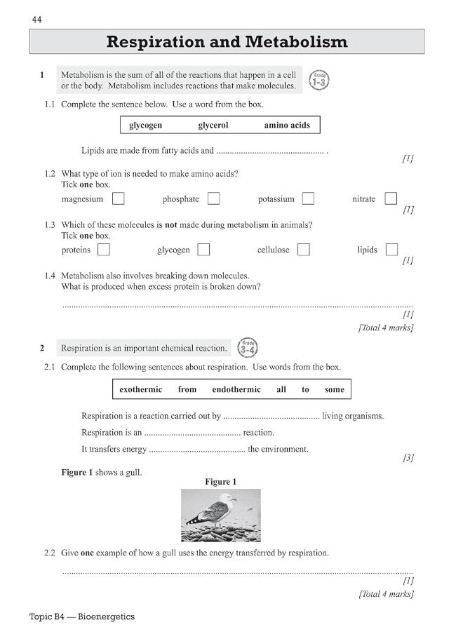 null - GCSE Combined Science AQA Exam Practice Workbook - Foundation (includes answers) - Image 1