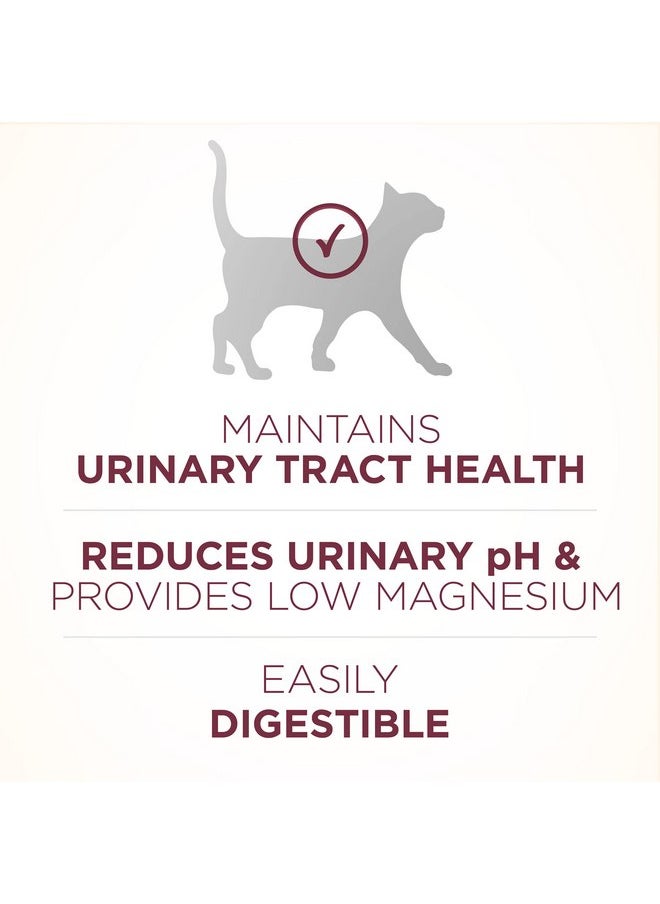 Purina ONE - Purina ONE High Protein Dry Cat Food, +Plus Urinary Tract Health Formula - 7 lb. Bag - Image 1