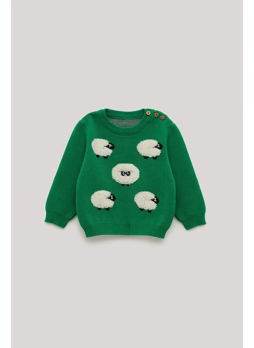 Gb Baby Bg Store Baby Boy Green Sweater