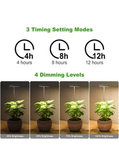 Generic 2 Pcs Grow Lights for Indoor Plants, Height Adjustable Plant Growing Lamp with Auto On/Off Timer, Full Spectrum LED Plant Light with 4 Dimmable Brightness for Small Plants  - Image 5