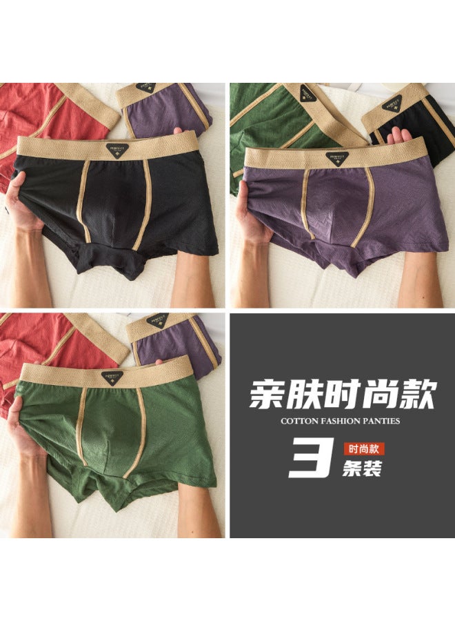Autumn And Winter New Pure Cotton Men's Underwear 10a Antibacterial Breathable Comfortable Shorts Large Size Men's Boxer Briefs For Dropshipping