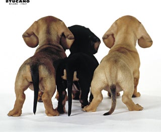 MPDEL-202 Natura Mouse Pad Puppies - pzsku/Z232748F42CDBD9DAF25AZ/45/_/1727707085/b2869a74-753b-42ae-b411-5db805cbdba1