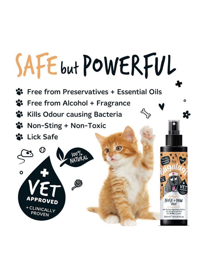 Bugalugs Antiseptic Paw & Nose Spray for Dogs & Cats 200ml – Cleans, Protects & Soothes Sensitive Areas - Image 4