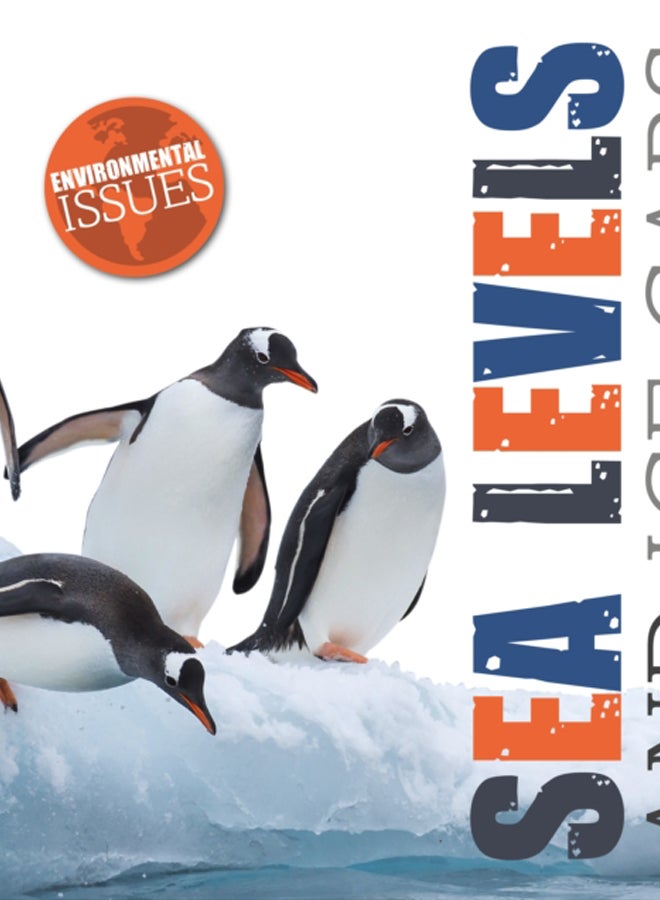 Sea Levels and Ice Caps