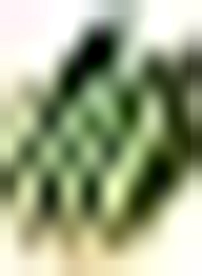 GGOOT 30Stück Gurkensamen Feuchtigkeitsgehalt Viele Reben wachsen Gemüse brauchen Nicht viel Pflege keimen einfaches natürliches Wachstum zylindrisches Gemüse - Image 1