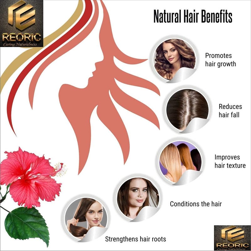 REORIC Reoric amla powder bhringraj powder hibiscus powder amla powder hibiscus powder Organic Karnataka Bhringraj False Daisy Leaf Powder for Skin and Hair gudhal ka powder300g Pack of 3  - Image 5