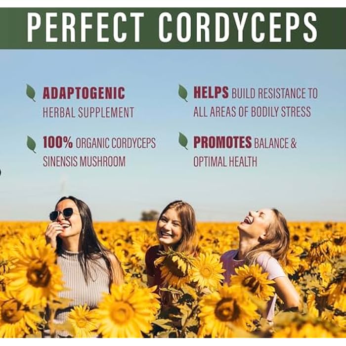 Perfect Supplements – Perfect Cordyceps – 90 Vegetable Capsules – Organic Adaptogenic Herbal Supplement – Increases Energy, Endurance & Strength - Image 4