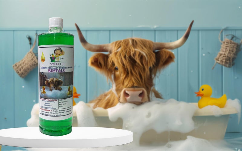 swacch Shampoo Specially Formulated for Buffalo (1 Litre) Neem Alovera - Image 2