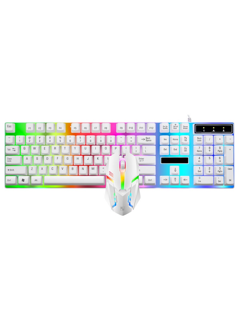 1 x 5 pcs Lifepo4 GTX300 Glowing Gaming Mouse USB Keyboard With Colorful Backlight For Esports And Gaming Enthusiasts LX2020 white suit - pzsku/Z232BDD4D21970C2D1C31Z/45/_/1741690456/f274ff86-5aec-4f23-b0d6-5fbade1dc5ba