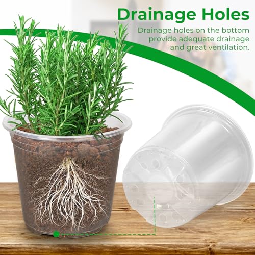 FUIJOL 6/8/10/12 Inch Large Clear Nursery Pots with Drainage, 16 Pack Clear Plastic Nursery Pots for Plants, Garden Seedling Starter Plant Pots for Succulents, Flower & Vegetable (6/8/10/12in-16Pack) - Image 3