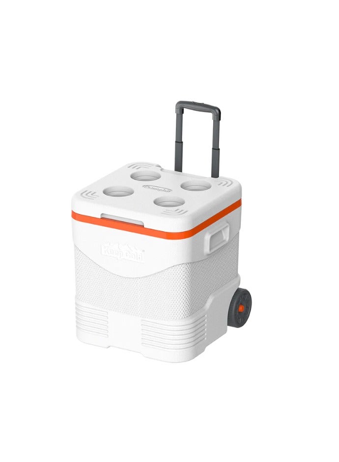كوزموبلاست صندوق ثلج بعجلات من KeepCold سعة 30 لترًا