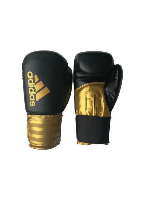 Boxing Gloves Hybrid-100