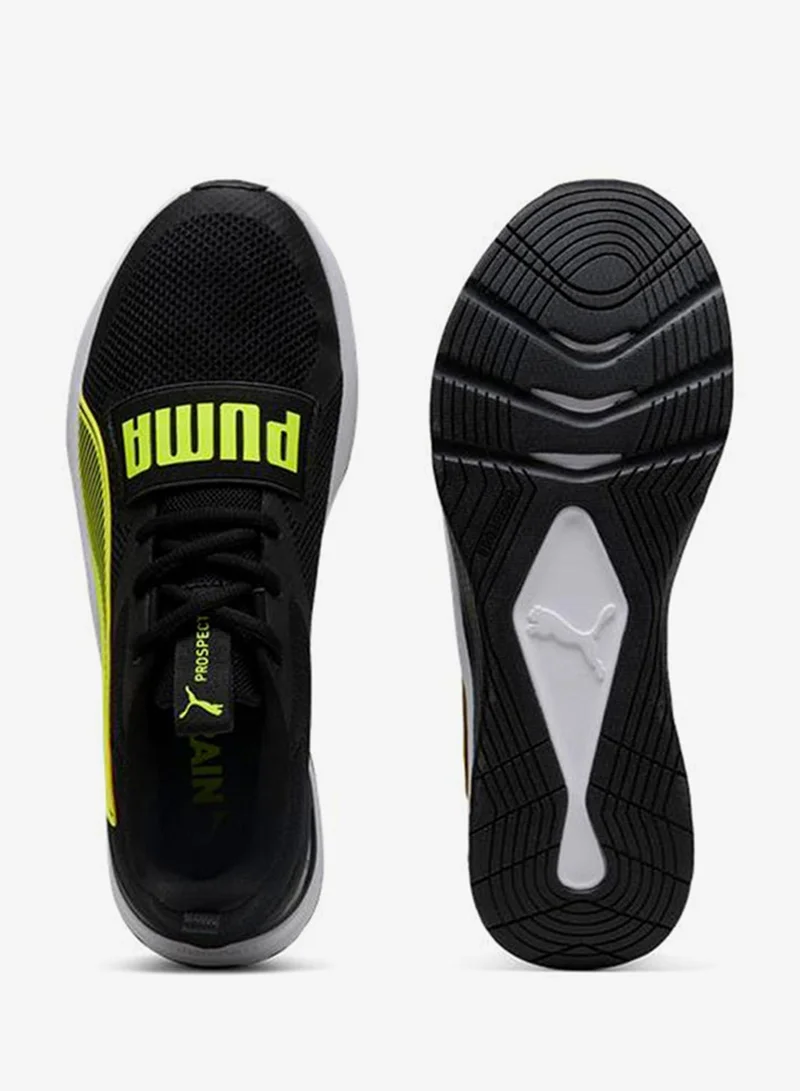 بوما بروسبكت