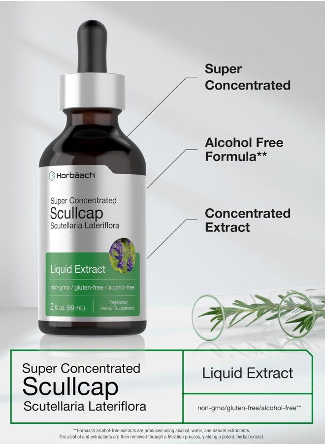 Horbäach - Scullcap Herb Liquid Extract | 2 fl oz Tincture | Super Concentrated | Alcohol Free, Vegetarian, Non-GMO, Gluten Free Skullcap Supplement - Image 1