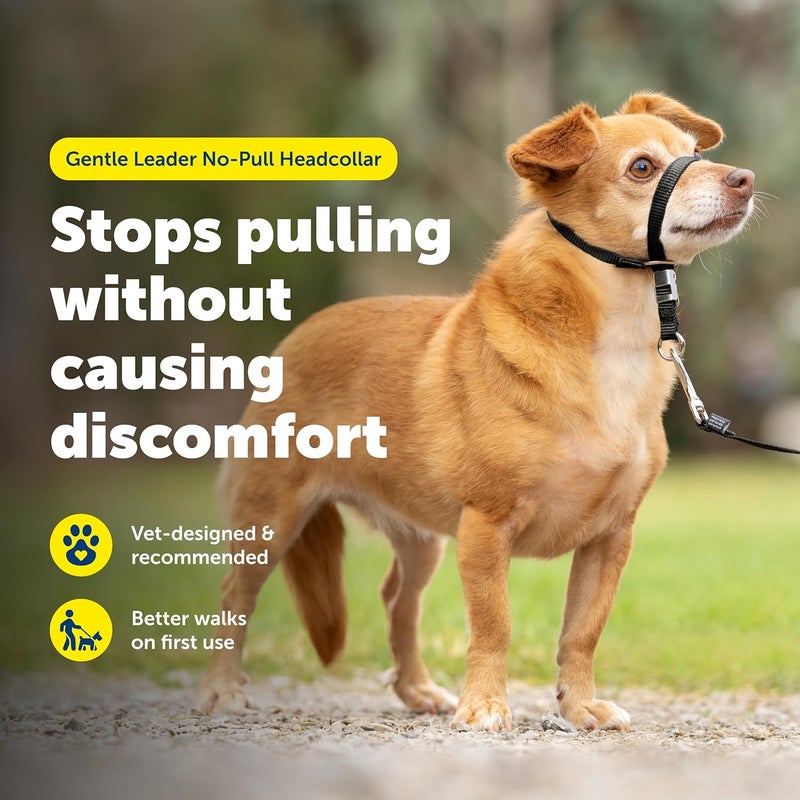 PetSafe Gentle Leader No-Pull Dog Headcollar - Effective Control for Easier Walks - Petite Size, Black - Image 2